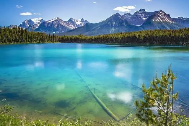 2020朋友圈最火的人生哲理语录,句句精辟说到心坎上