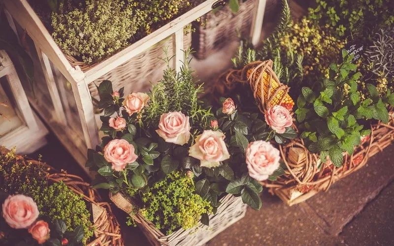 何裕民：少折腾，肿瘤患者活得更久！