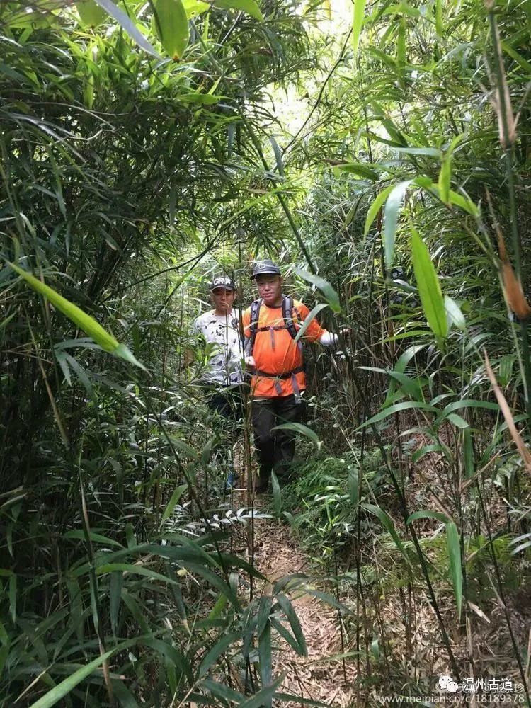 大罗山七尖尖尖通天，连绵而行山色无边
