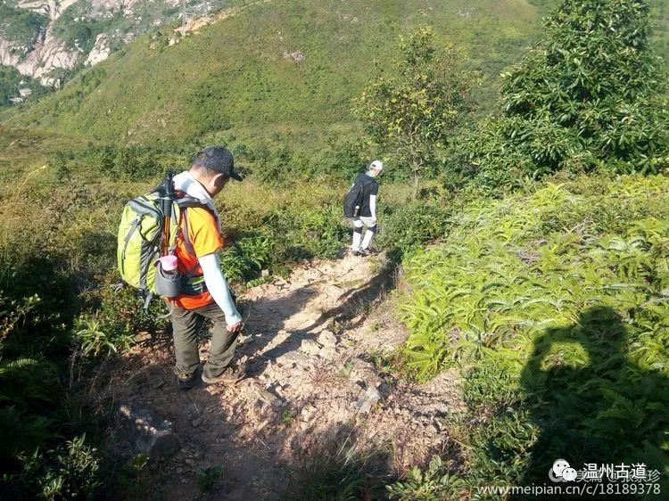 大罗山七尖尖尖通天，连绵而行山色无边