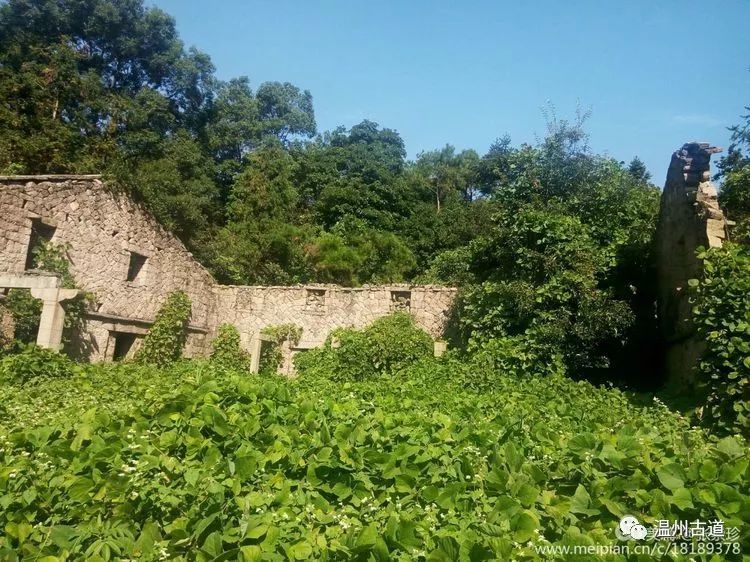 大罗山七尖尖尖通天，连绵而行山色无边