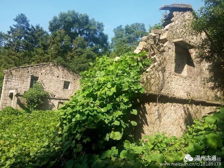 大罗山七尖尖尖通天，连绵而行山色无边