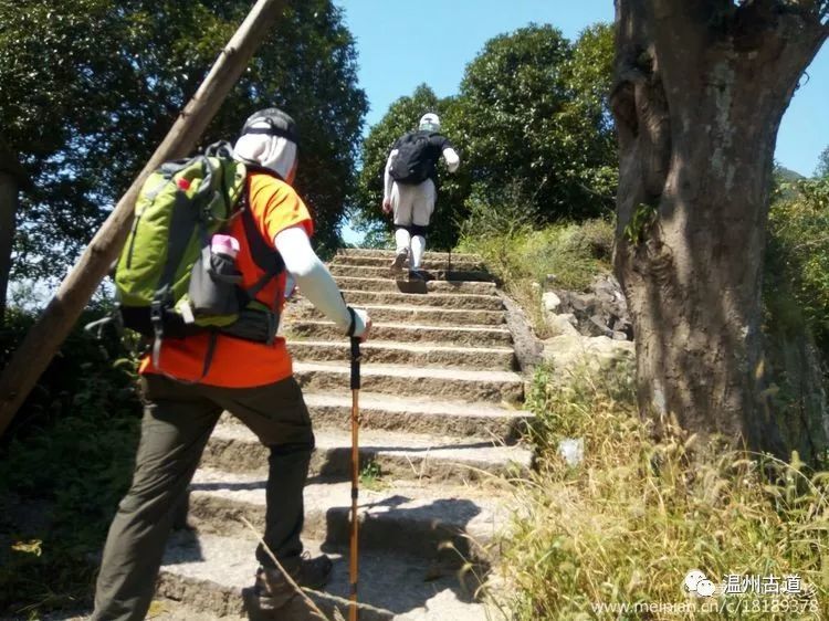 大罗山七尖尖尖通天，连绵而行山色无边