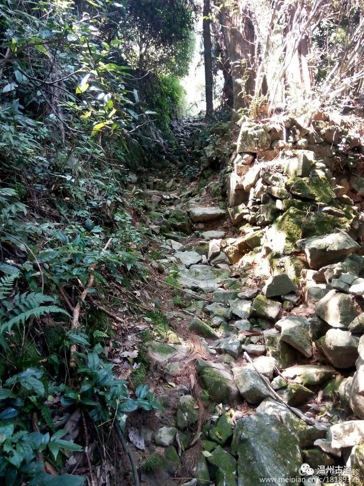 大罗山七尖尖尖通天，连绵而行山色无边