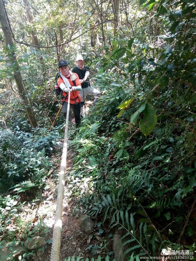 大罗山七尖尖尖通天，连绵而行山色无边