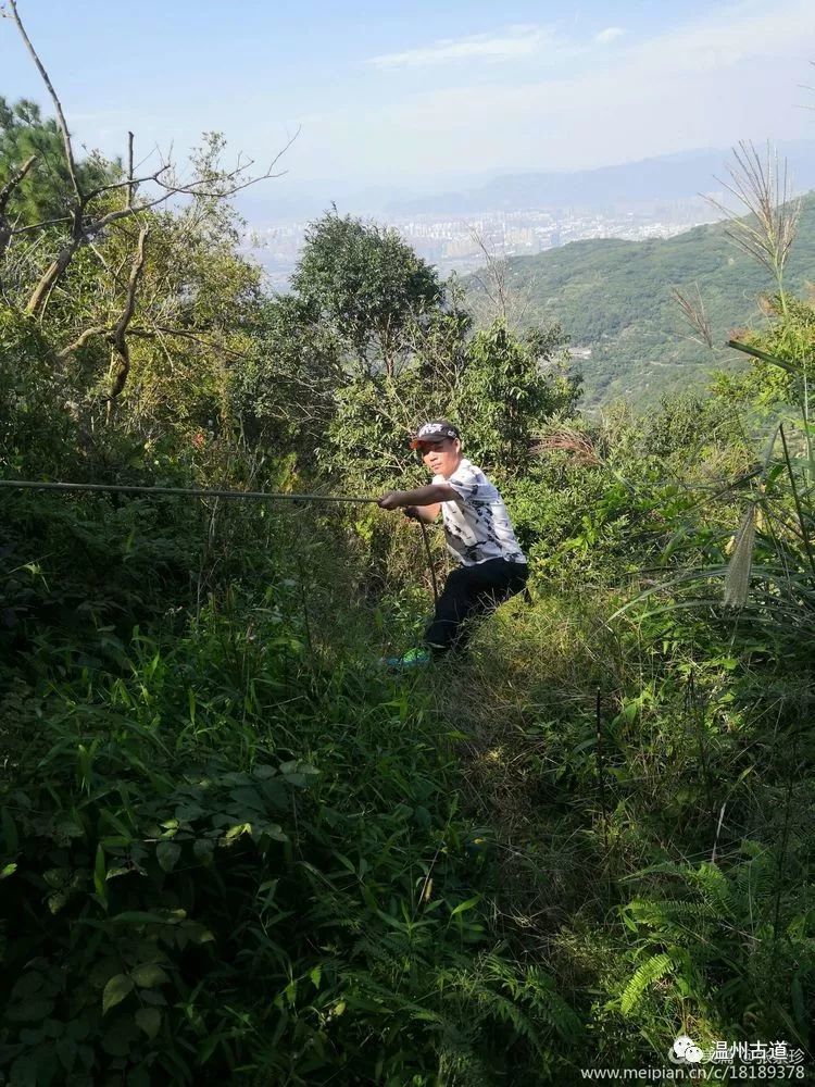 大罗山七尖尖尖通天，连绵而行山色无边