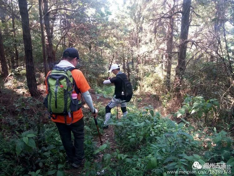 大罗山七尖尖尖通天，连绵而行山色无边