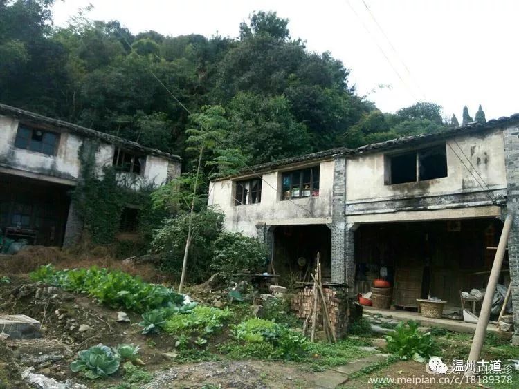 大罗山七尖尖尖通天，连绵而行山色无边