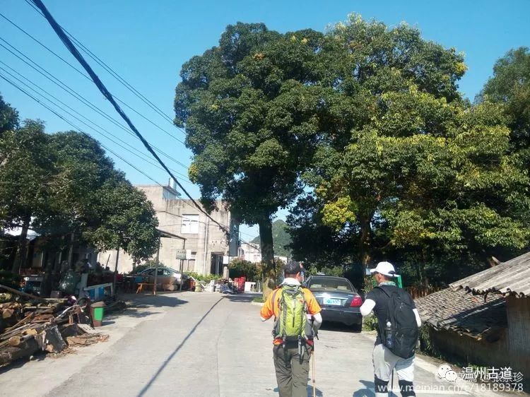 大罗山七尖尖尖通天，连绵而行山色无边