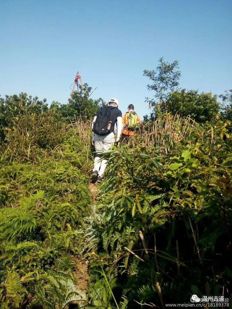 大罗山七尖尖尖通天，连绵而行山色无边