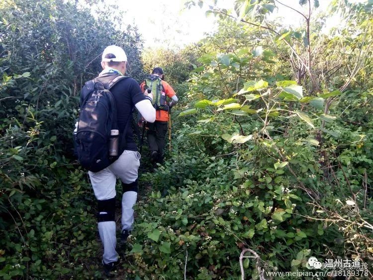 大罗山七尖尖尖通天，连绵而行山色无边