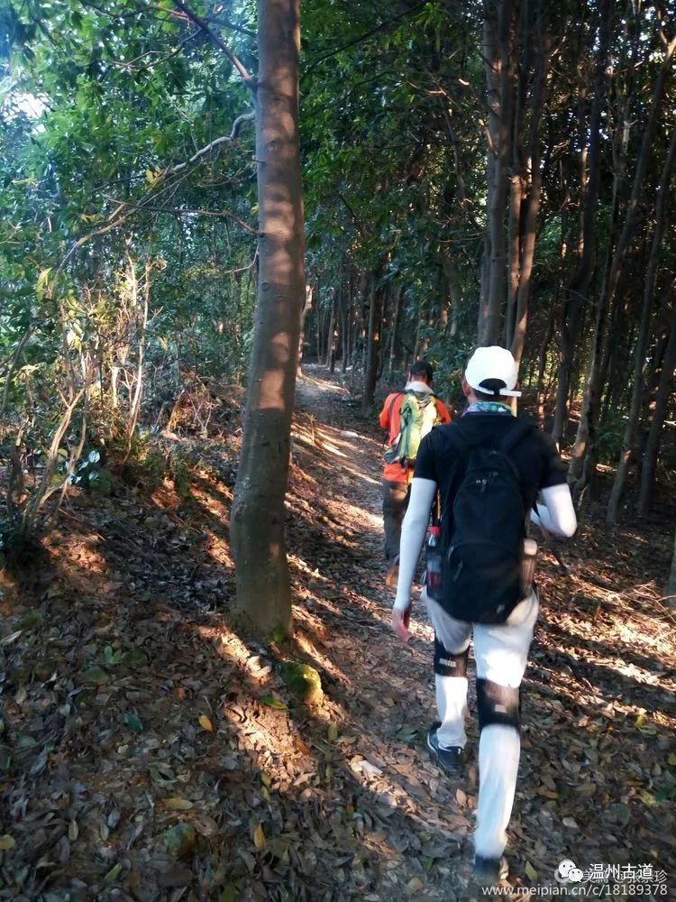 大罗山七尖尖尖通天，连绵而行山色无边