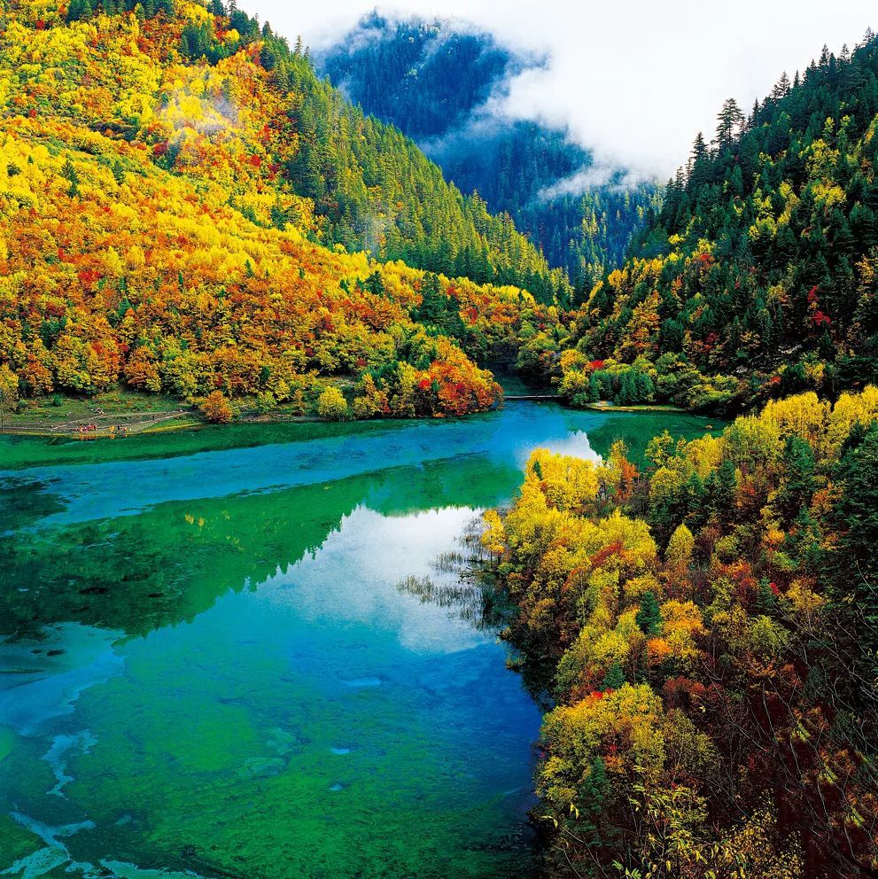 四川    九寨沟