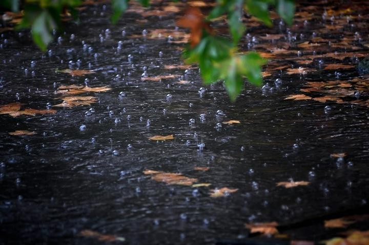 一场秋雨一场寒 来吧 秋裤正在召唤你