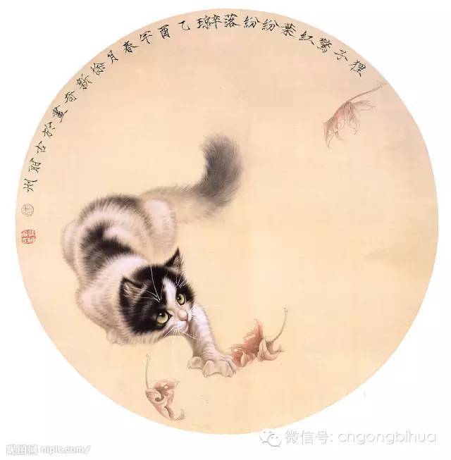 精美的工笔画——猫篇