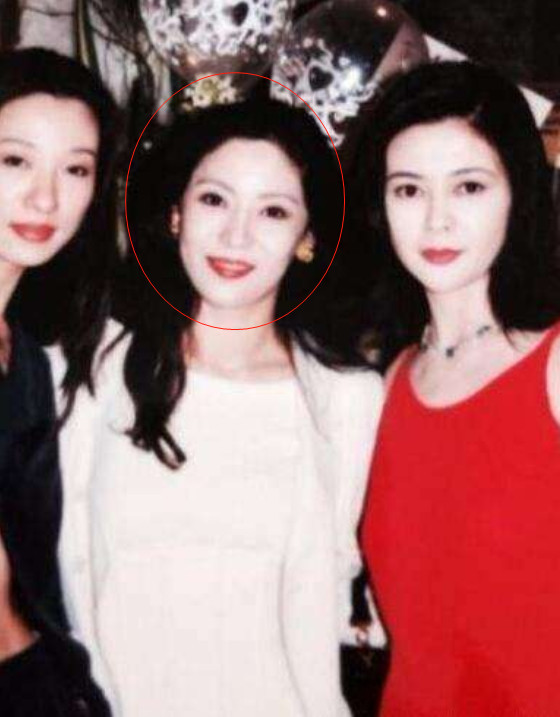 陈岚,向太,盛世美颜,关之琳,向华强