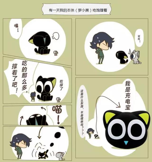 在流落街头之时被罗小白带回了家,起名罗小黑.