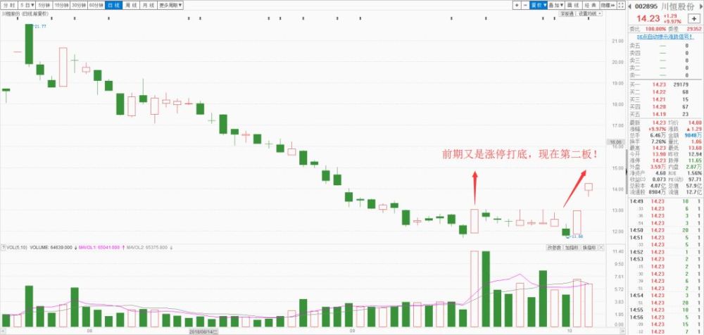 短线走势最强股:川恒股份(002895)