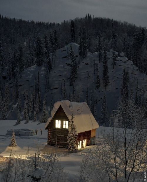 视界|如沐暖意的雪地木屋