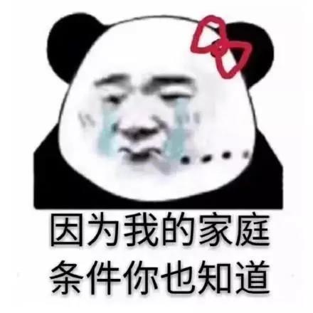 熊猫头斗图表情包:注意你的身份和说话方式,我不想看见第二次