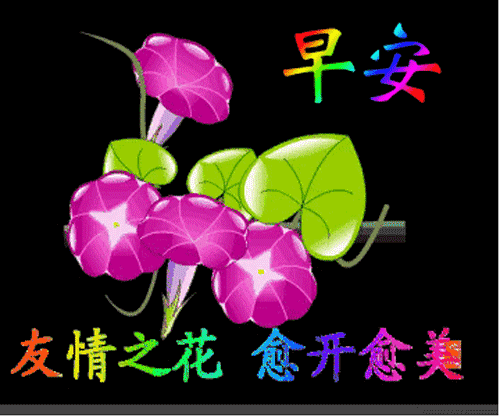 周三最新版漂亮早上好问候动态表情图片