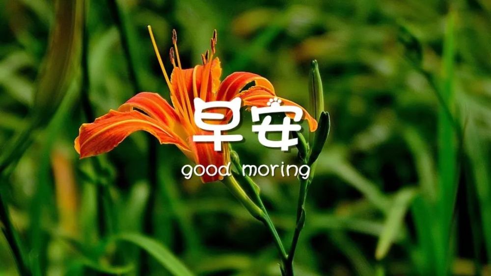 早安心语图片带字句子 早上好精美图片
