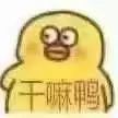 日常表情包 我爱你鸭