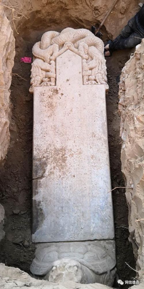 雄县发现古代石碑 疑为明定慧禅寺石碑