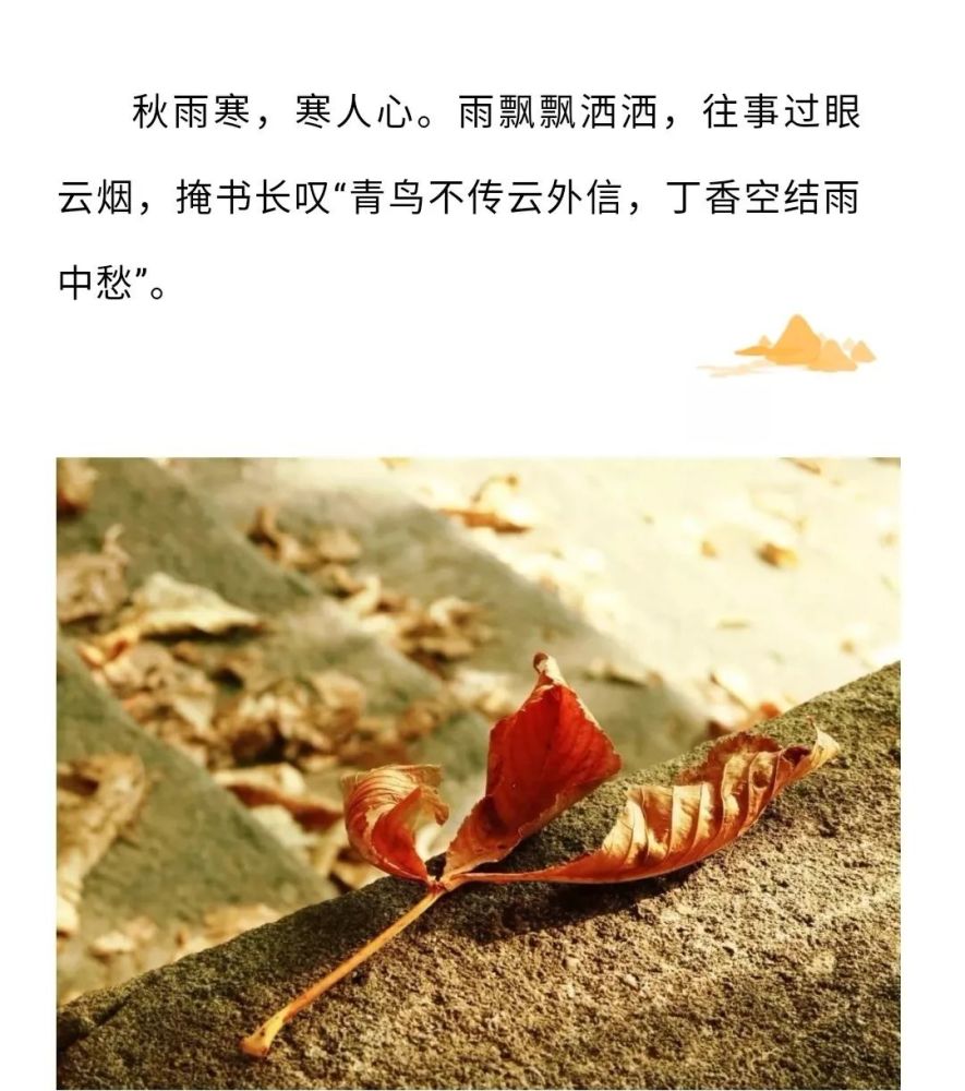 14首诗词中的秋雨,滴滴都落在心头