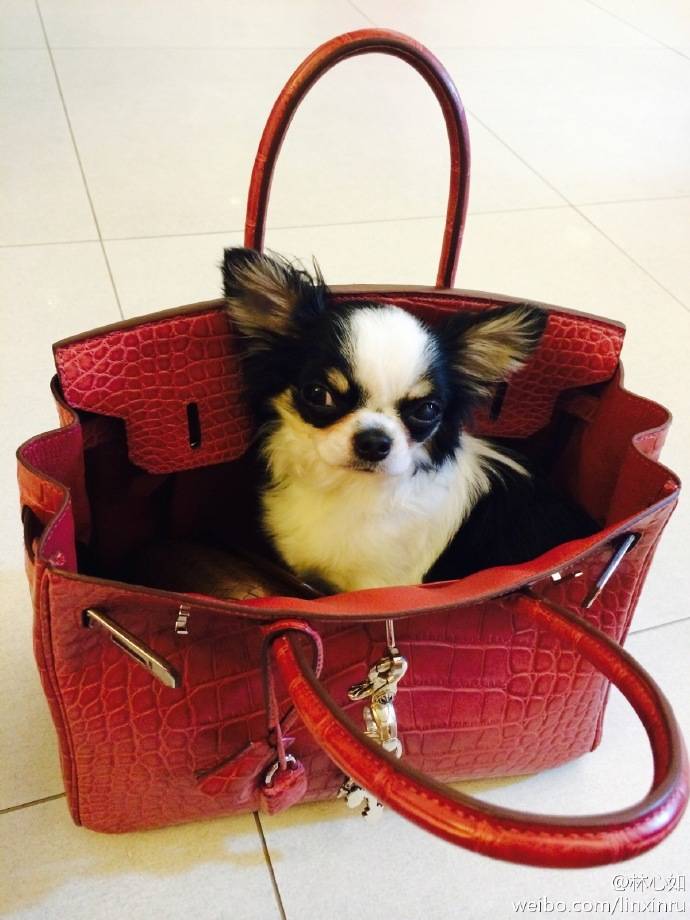 ӵȫİ˰3 / :wanhu / ID:3105,3768