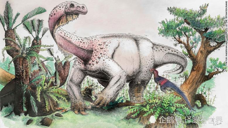 美国发现史上最呆萌婴儿恐龙化石,这些宝宝最爱吃素了