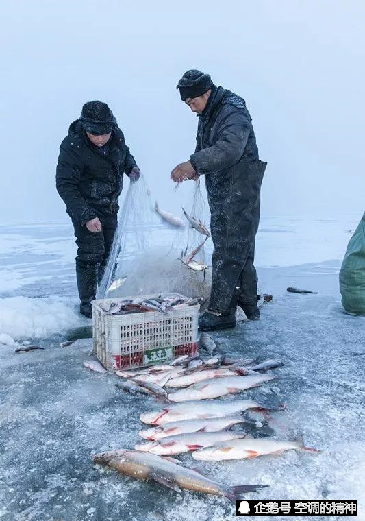 黑龙江鸡西,中俄界湖兴凯湖的冬季捕鱼.图/视觉中国