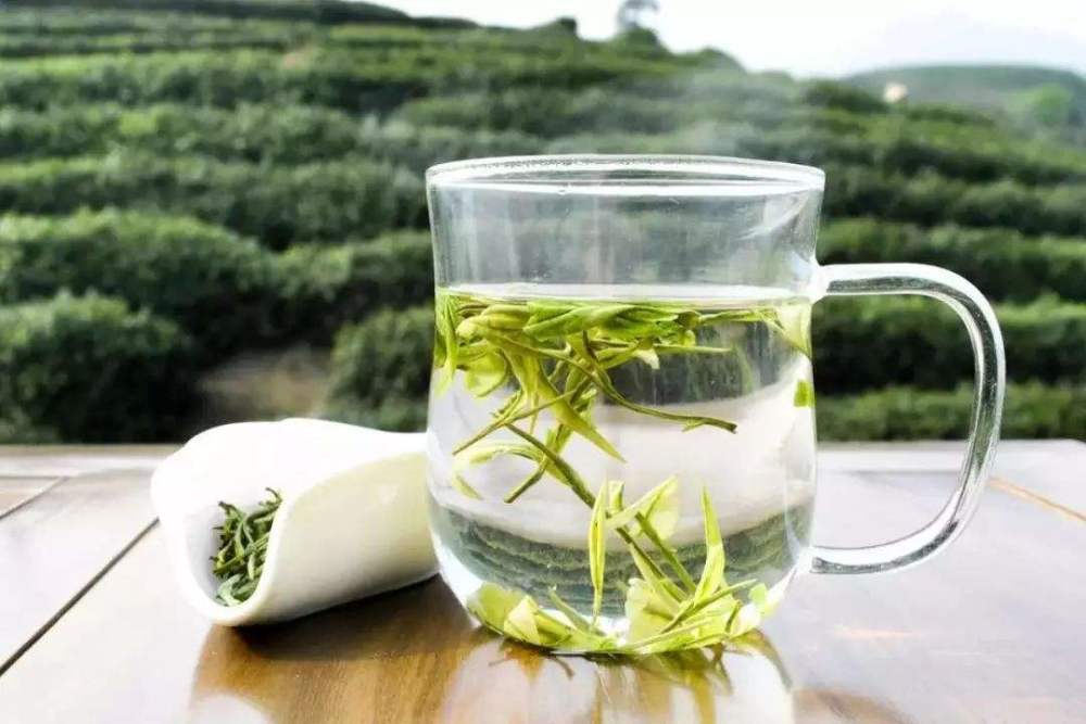 清秋爱上一杯暖茶