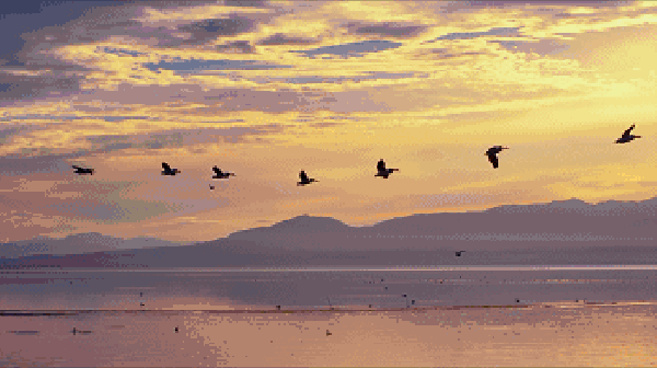 在古代我们只是并肩策马,低头间又走了几十里