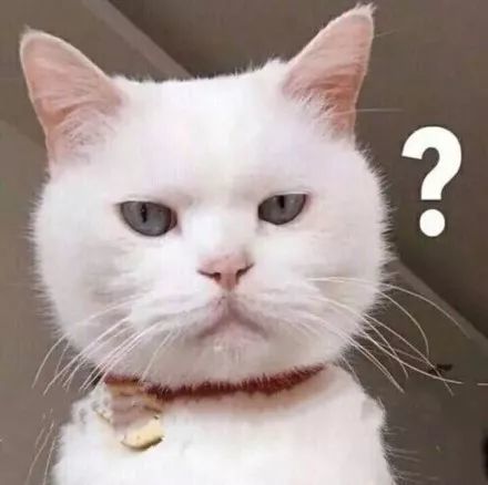 表情包:疑问