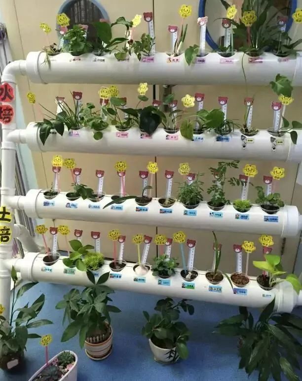 幼儿园植物角创意设计欣赏