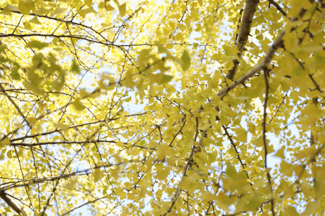 都匀超美打卡地,快约