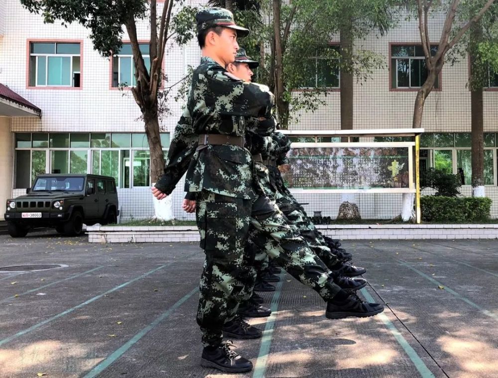 大学生入伍,他们带着学位走向战位