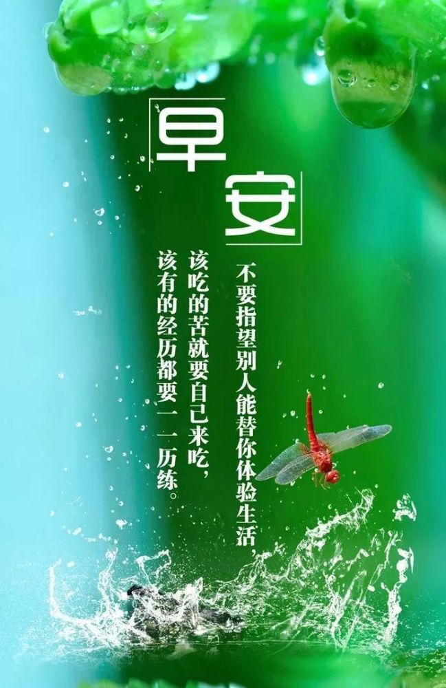 早安心语正能量激励句子 早上好问候语正能量励志