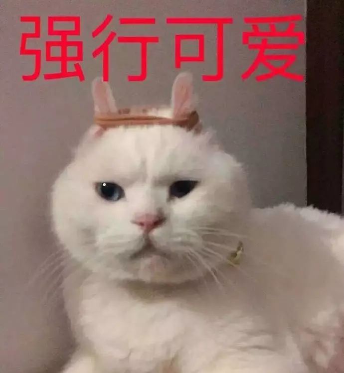 不爱我们的人,我们懒得解释!