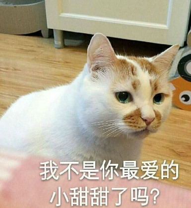小仙女专用表情包:你是要讲理,还是要我!猫日的总跟我