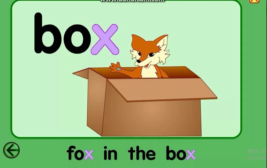 字母x x,ox,fox,box!