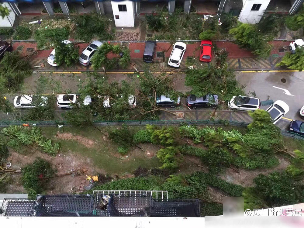 最 强台风 夜袭  厦门 全城一片狼藉_新闻_京华网