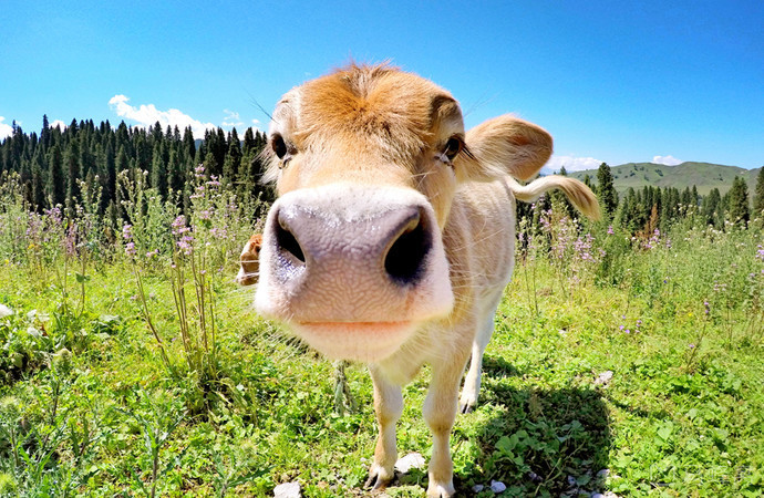 你是不是已经为之心动了?准备整装待发了?