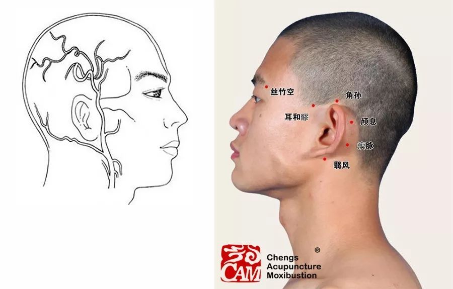 耳和髎位于耳前,颞浅动脉的搏动处.
