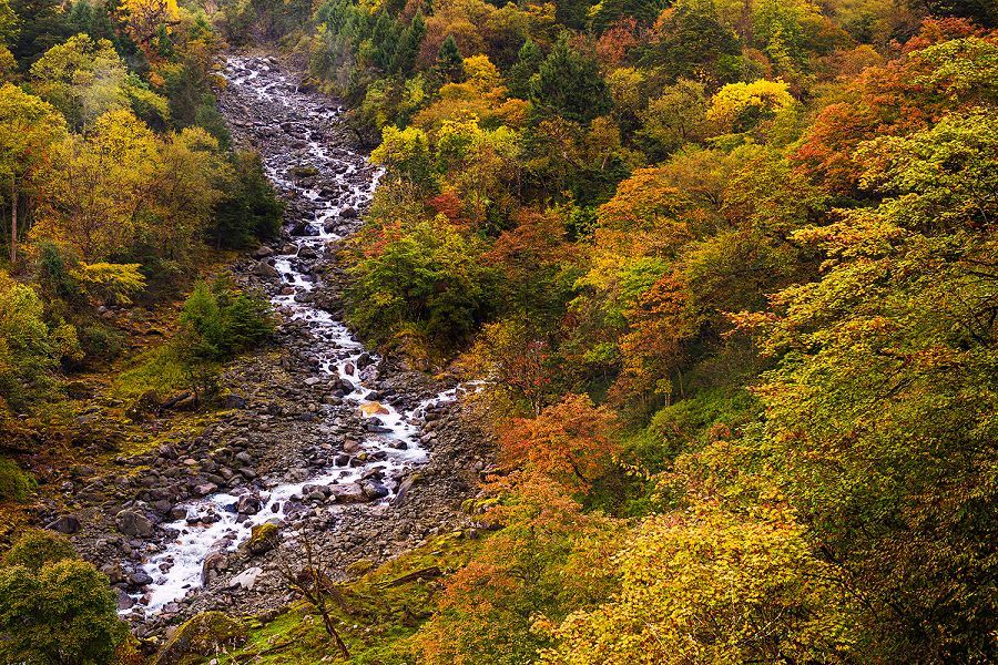 比川西离成都更近的最美红叶地:四川雅安二郎山喇叭河风景区