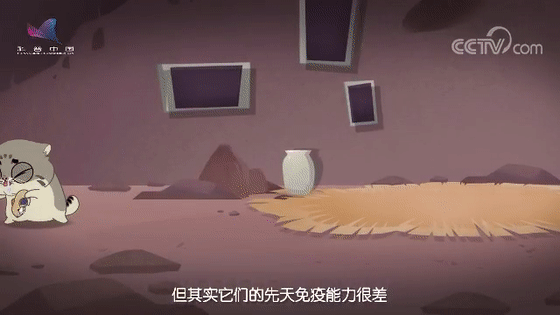 这只灵活的草原