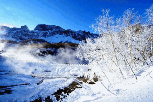 640_426gif 动态图 动图