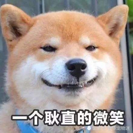 送你一个耿直的微笑.