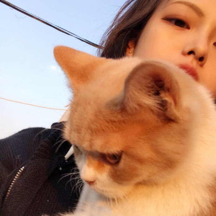 男友不如宠物系列·女生抱萌宠·头像: